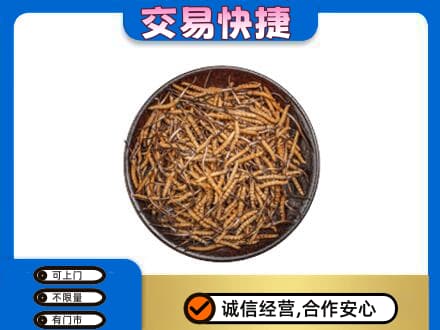 四方台区回收散虫草